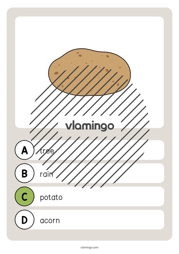 Autumn / Herbst: Vocabulary Quiz für den Englischunterricht – Vorschau 44