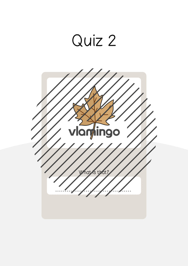 Autumn / Herbst: Vocabulary Quiz für den Englischunterricht – Vorschau 45