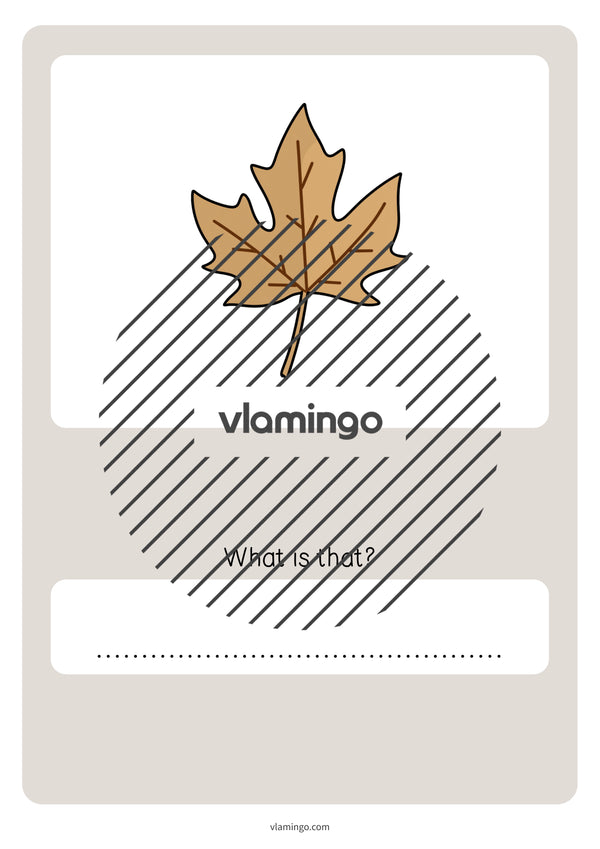 Autumn / Herbst: Vocabulary Quiz für den Englischunterricht – Vorschau 46