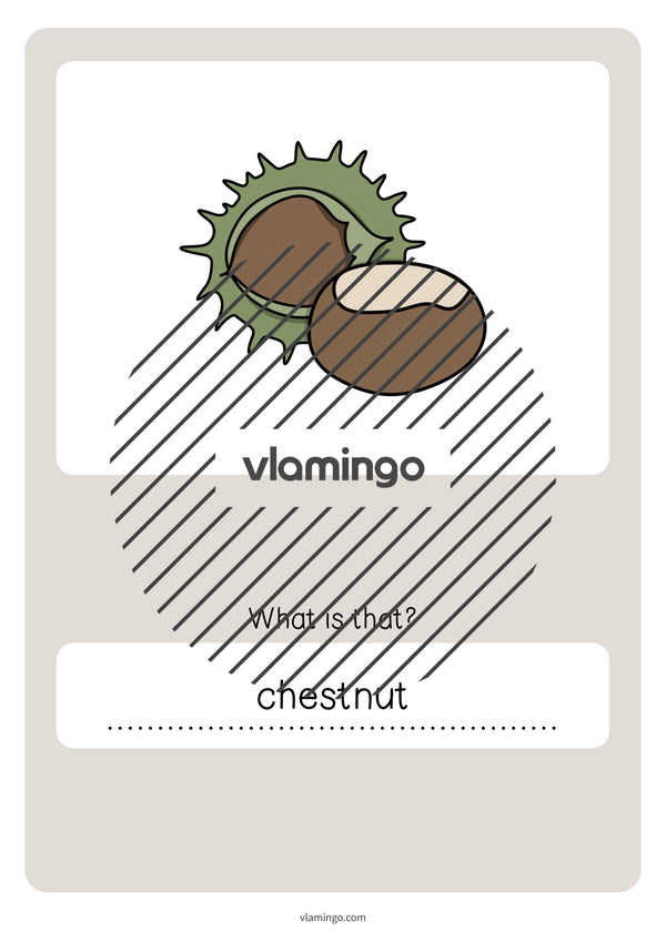 Autumn / Herbst: Vocabulary Quiz für den Englischunterricht – Vorschau 53