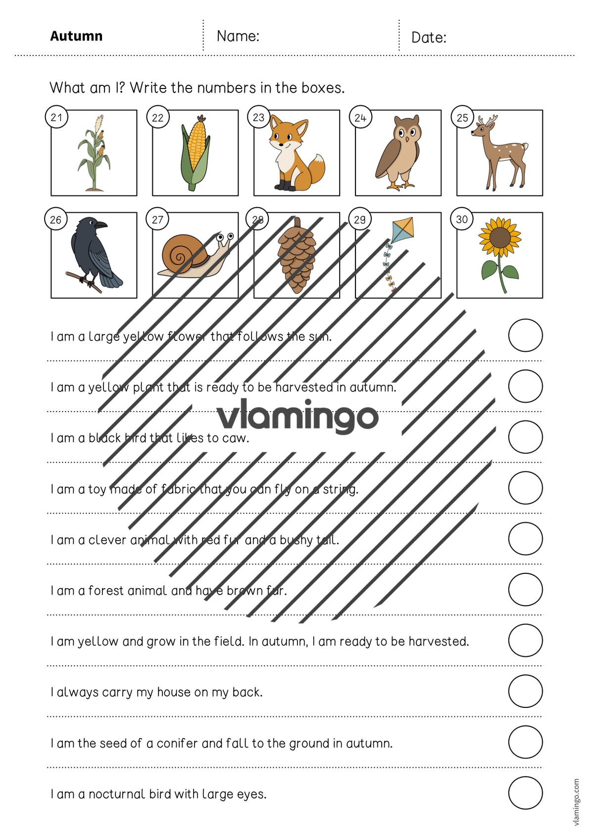 Autumn / Herbst: What am I? – Worksheet für den Englischunterricht (Arbeitsblatt) – Vorschau 5