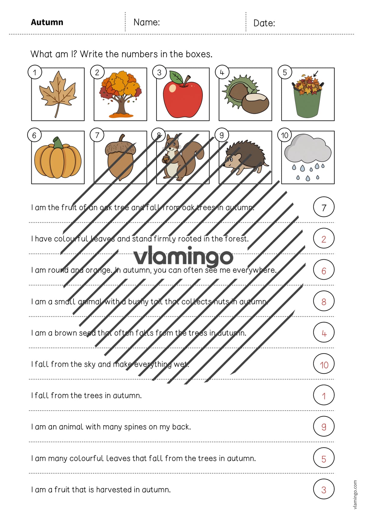 Autumn / Herbst: What am I? – Worksheet für den Englischunterricht (Arbeitsblatt) – Vorschau 7