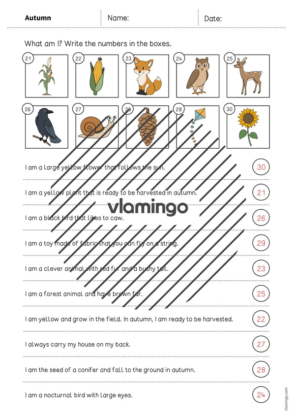 Autumn / Herbst: What am I? – Worksheet für den Englischunterricht (Arbeitsblatt) – Vorschau 9