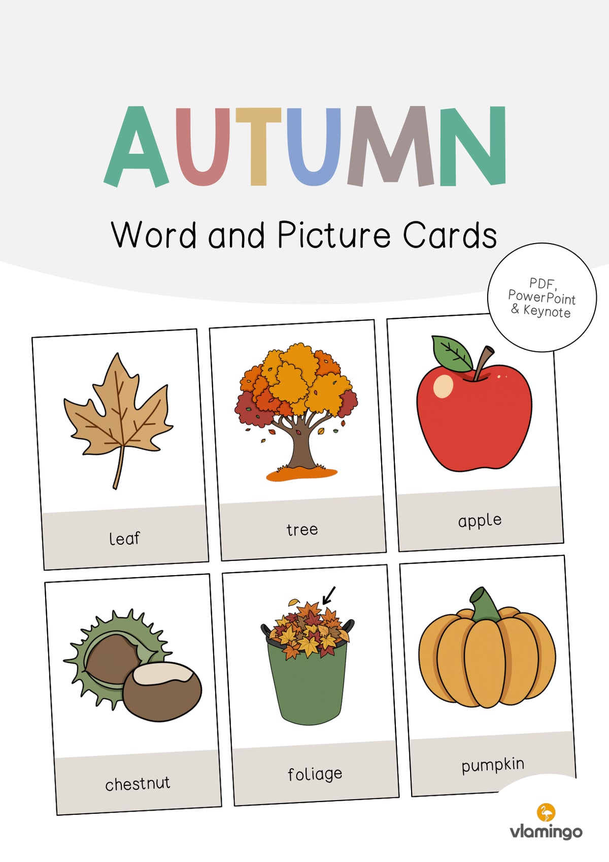 de englisch autumn word and picture cards 001