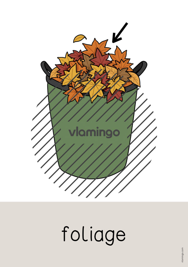 de englisch autumn word and picture cards 007