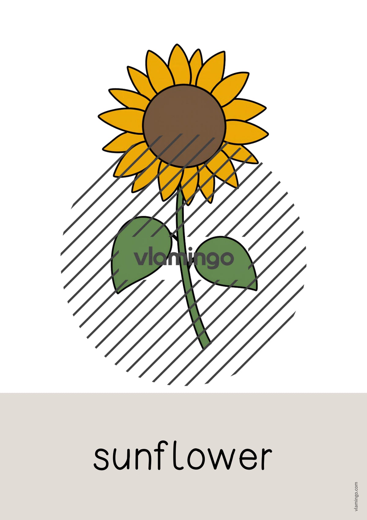 de englisch autumn word and picture cards 032