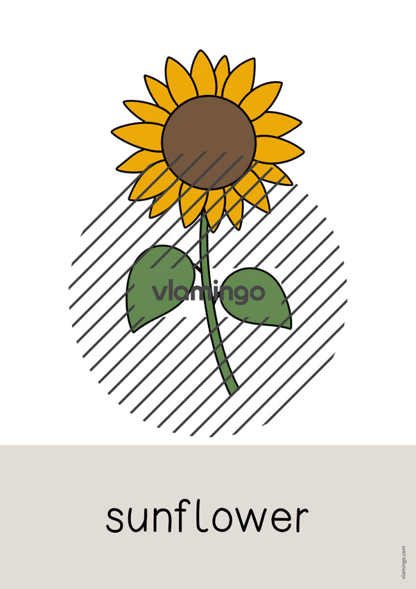 de englisch autumn word and picture cards 032