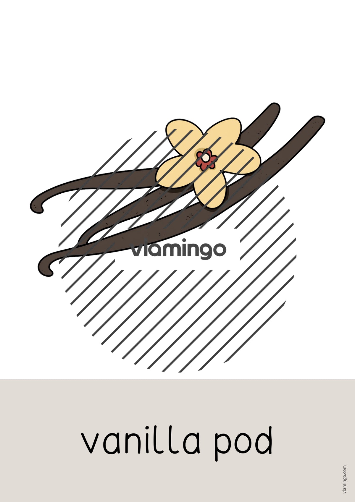 de englisch baking word and picture cards 047