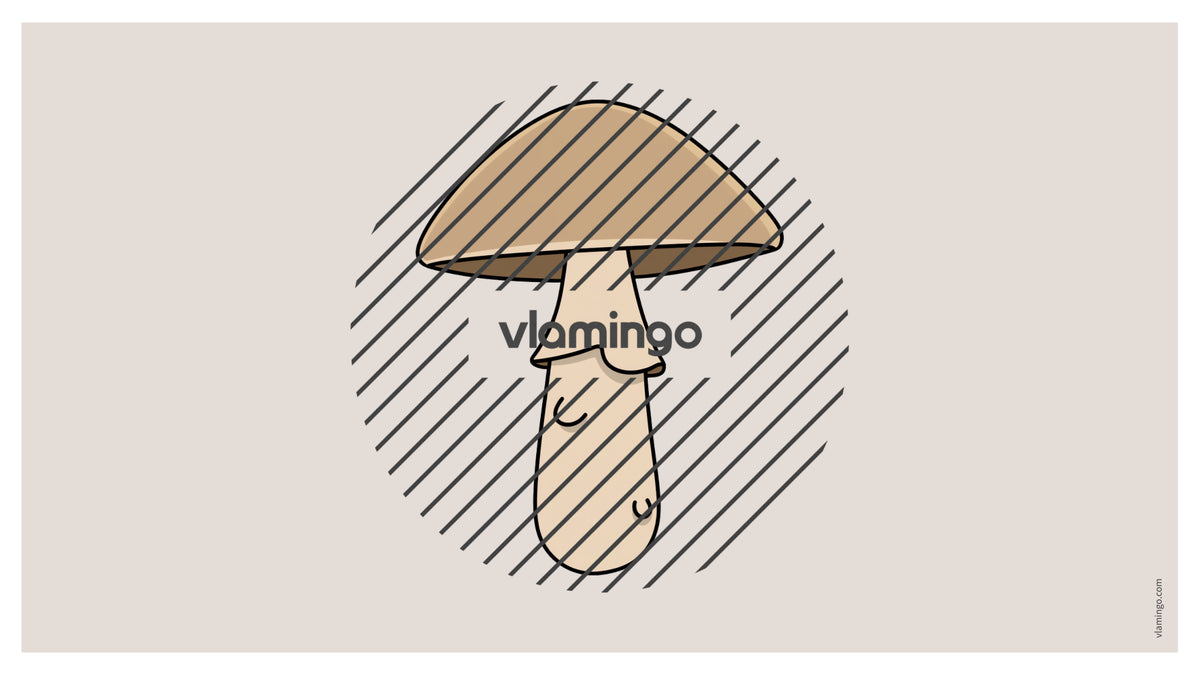 de englisch barbecue picnic vocabulary fitness powerpoint 050