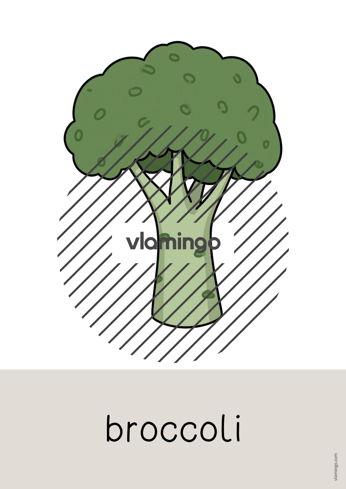 de englisch barbecue picnic word and picture cards 027