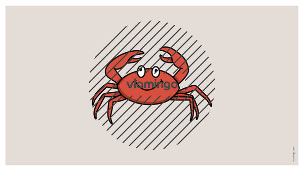 de englisch beach vocabulary fitness powerpoint 049