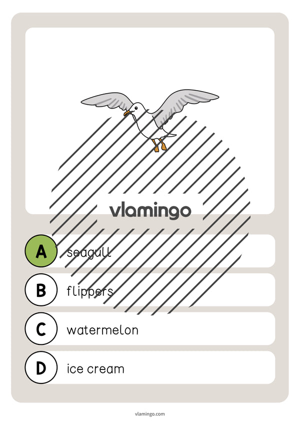 de englisch beach vocabulary quiz 016