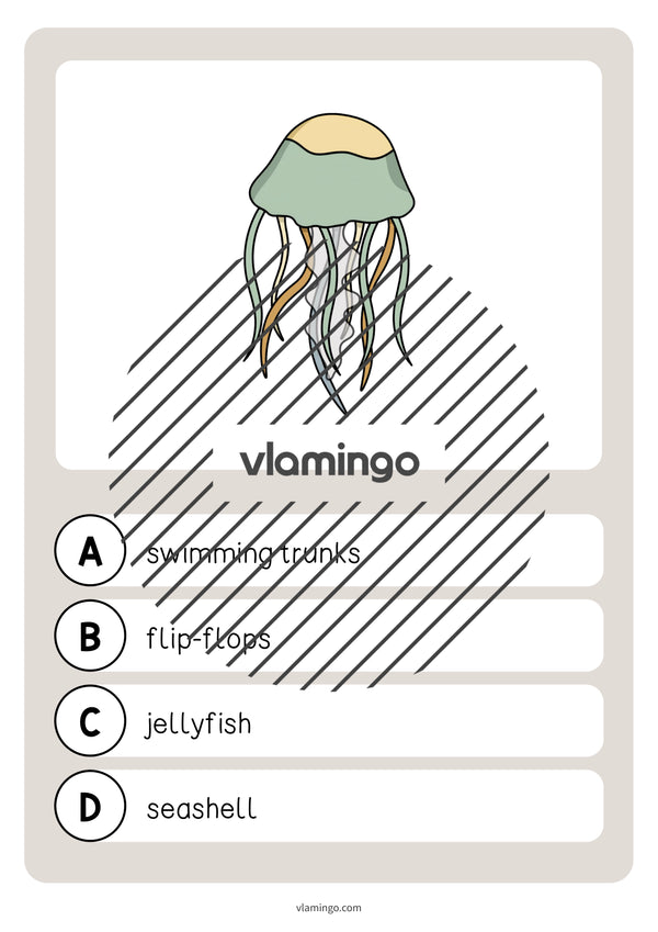 de englisch beach vocabulary quiz 017