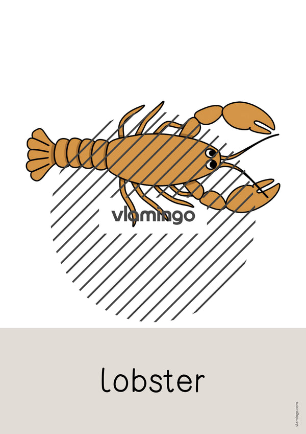de englisch beach word and picture cards 045