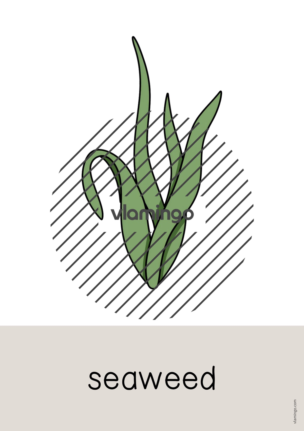 de englisch beach word and picture cards 047