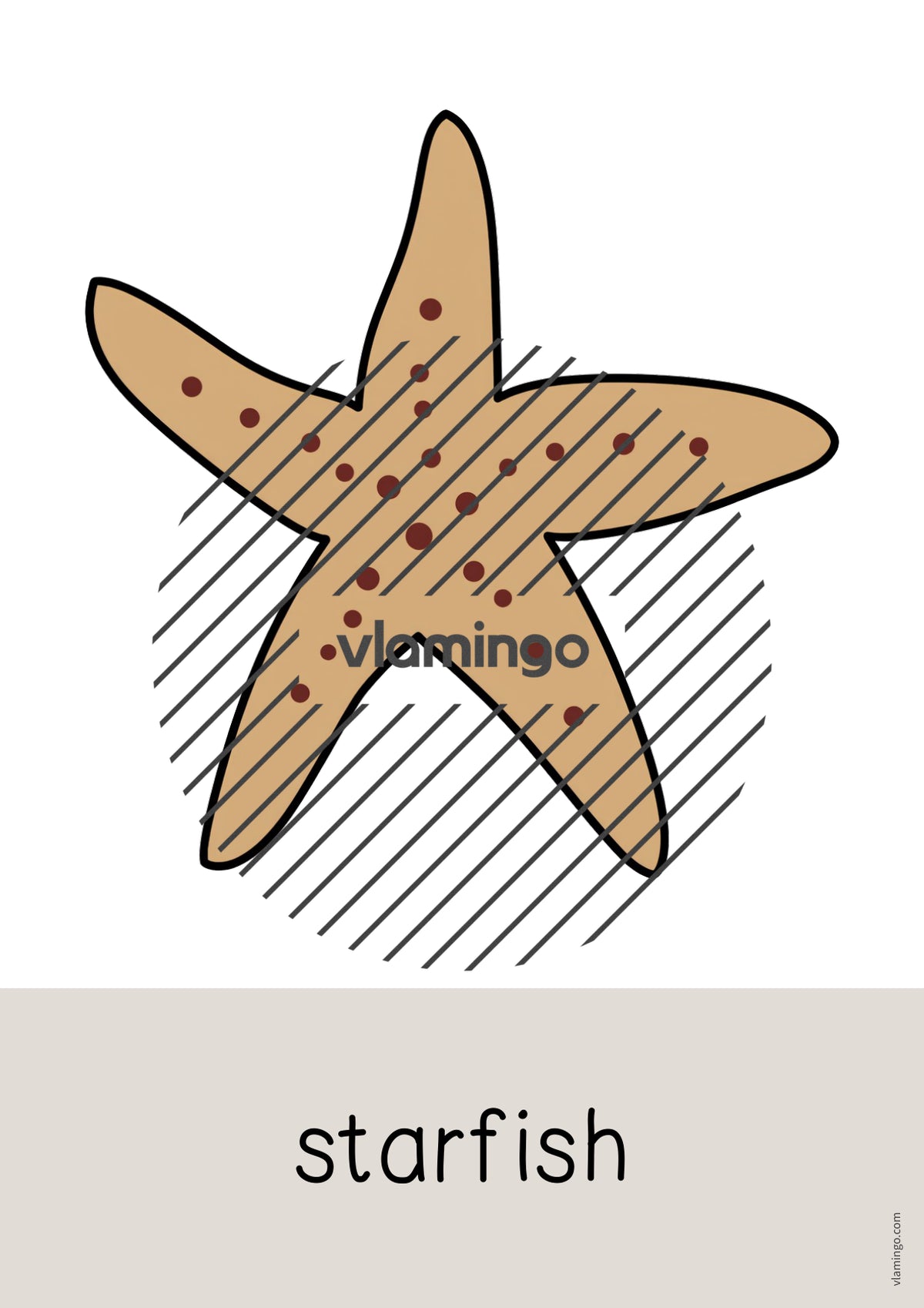 de englisch beach word and picture cards 049