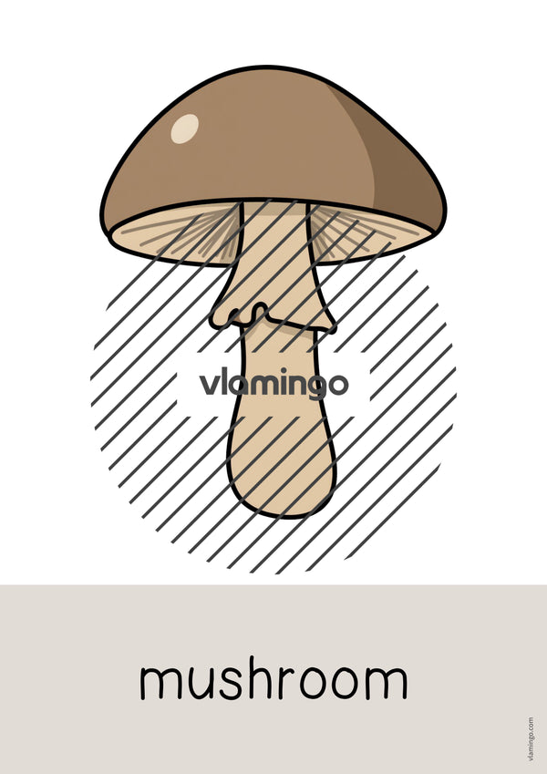 de englisch camping word and picture cards 043