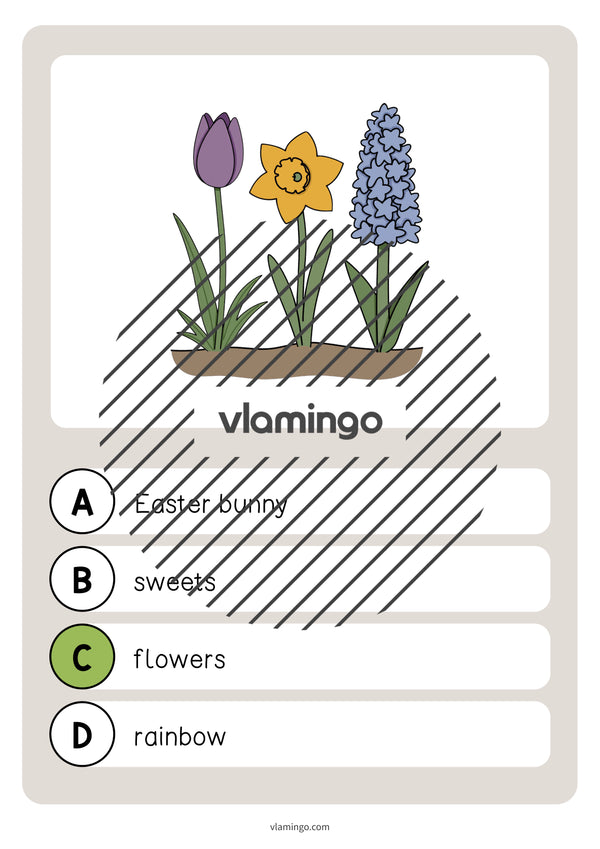 de englisch easter vocabulary quiz 024