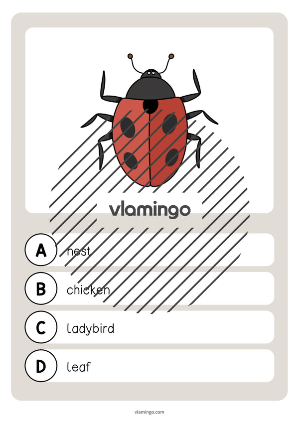 de englisch easter vocabulary quiz 039