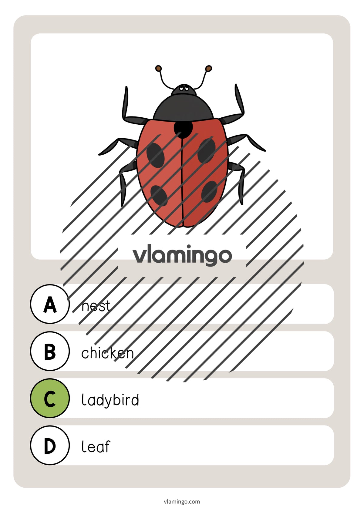 de englisch easter vocabulary quiz 040