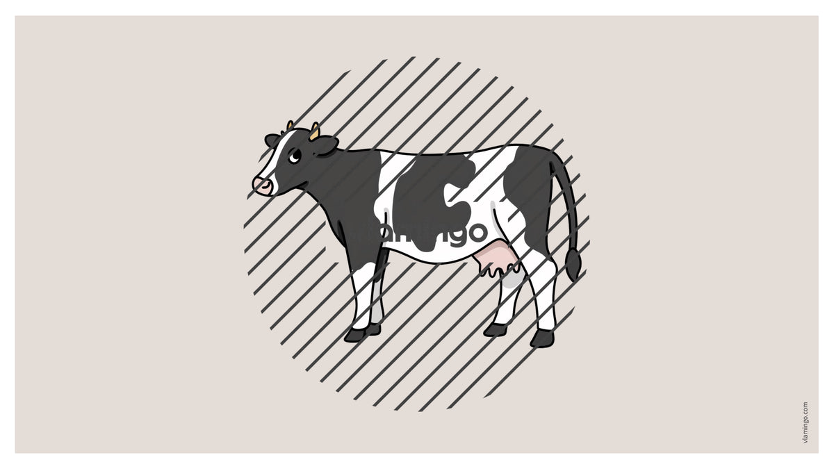 de englisch farm vocabulary fitness powerpoint 005
