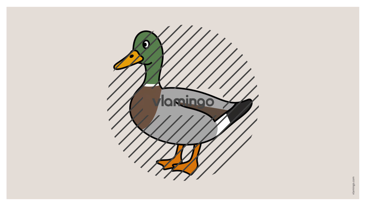 de englisch farm vocabulary fitness powerpoint 013