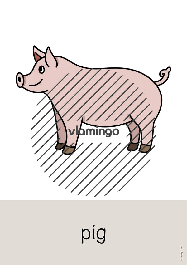 de englisch farm word and picture cards 007