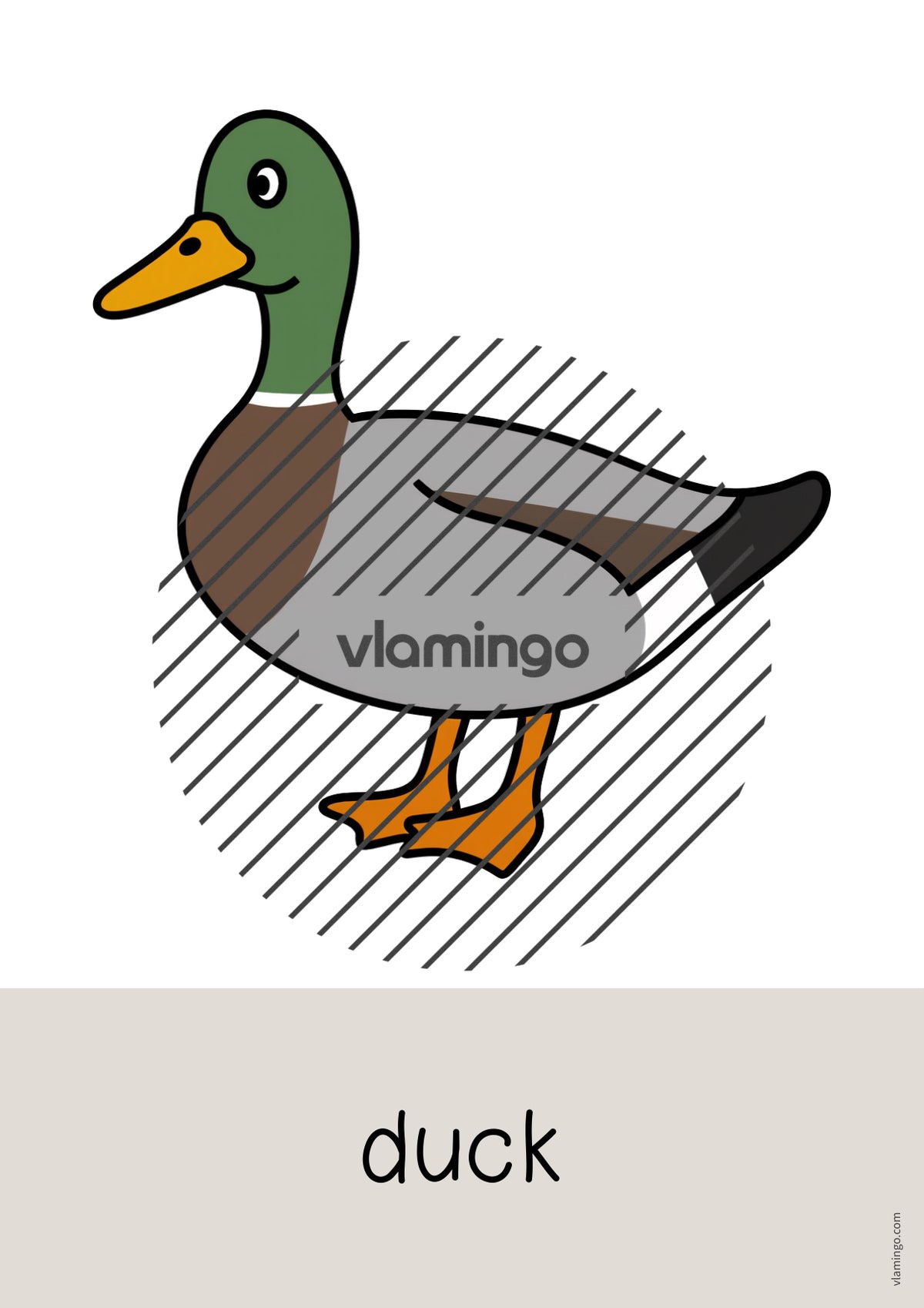 de englisch farm word and picture cards 010