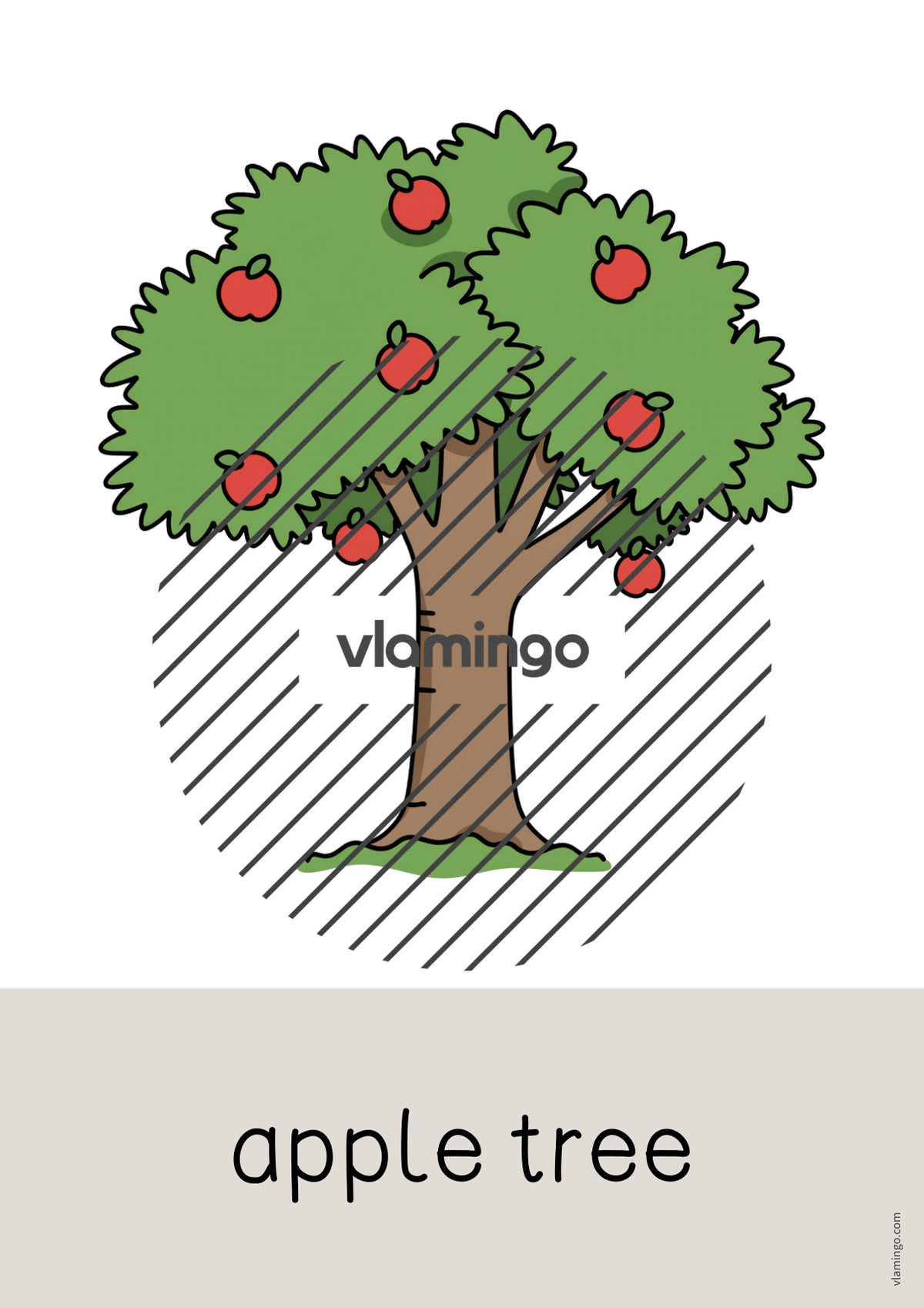 de englisch farm word and picture cards 031