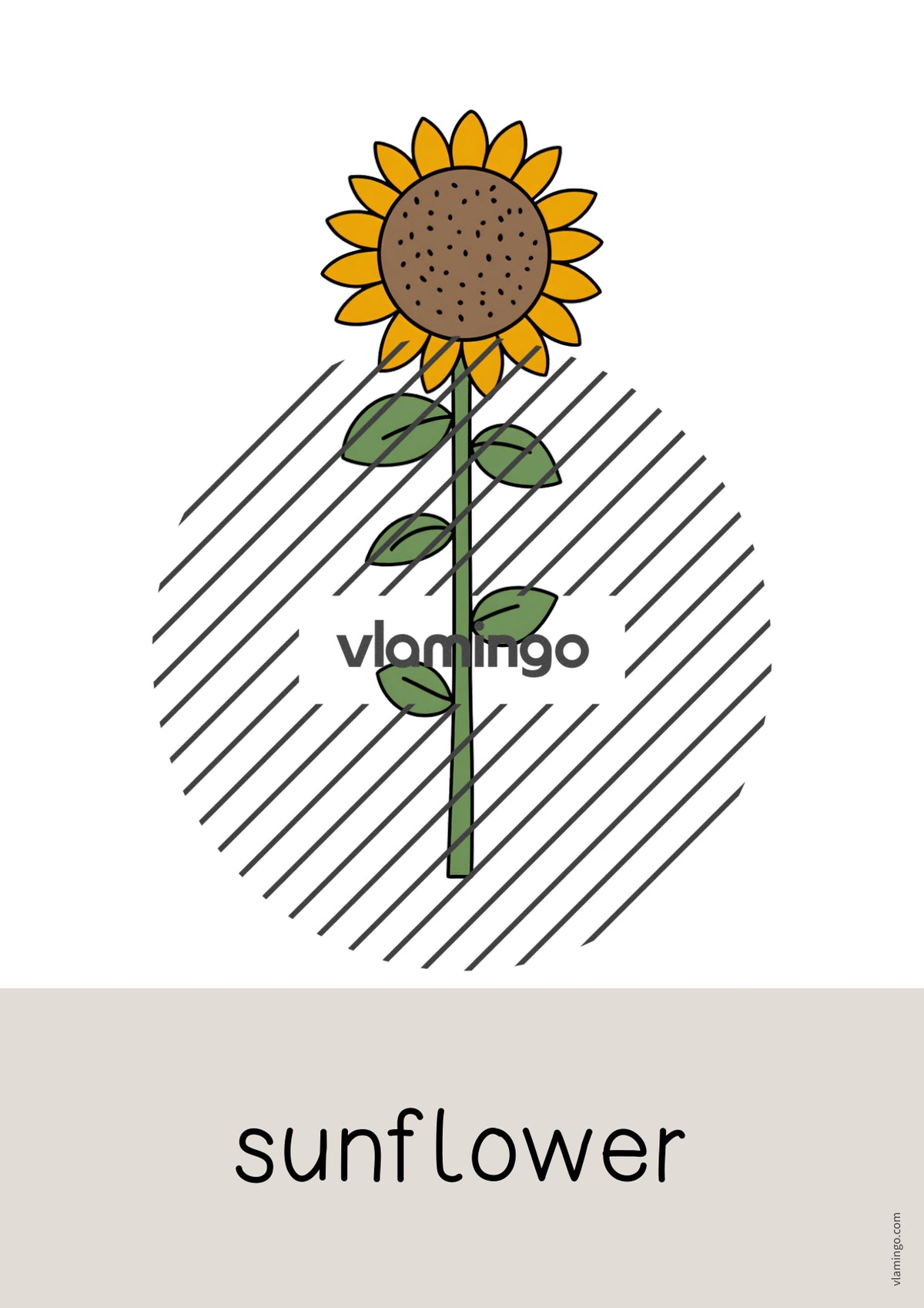 de englisch farm word and picture cards 037