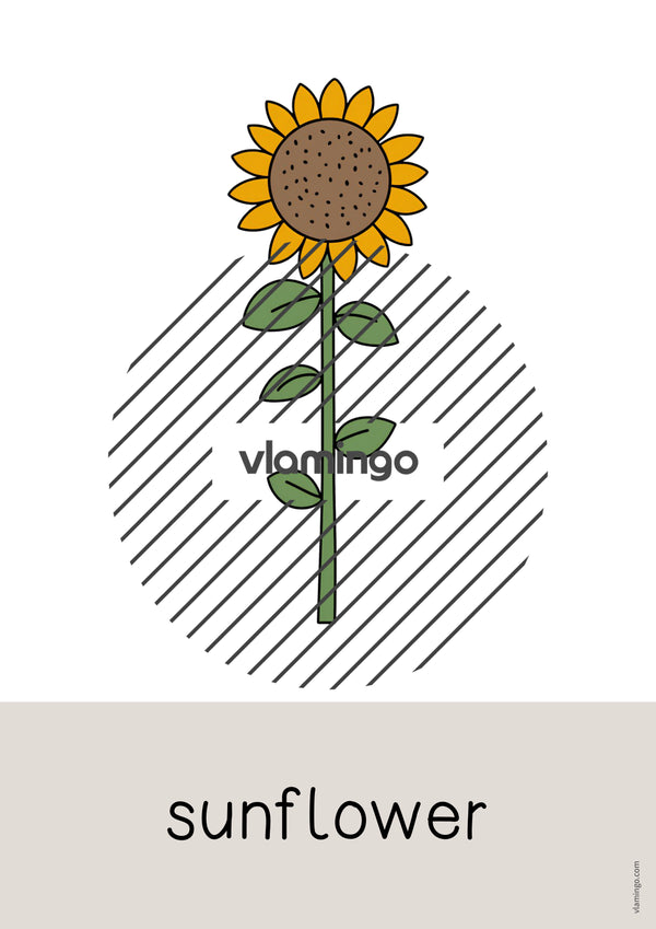de englisch farm word and picture cards 037