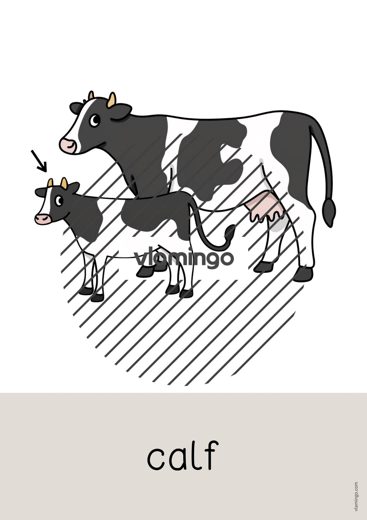 de englisch farm word and picture cards 051