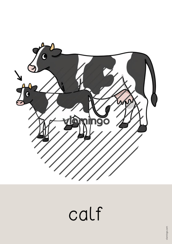 de englisch farm word and picture cards 051