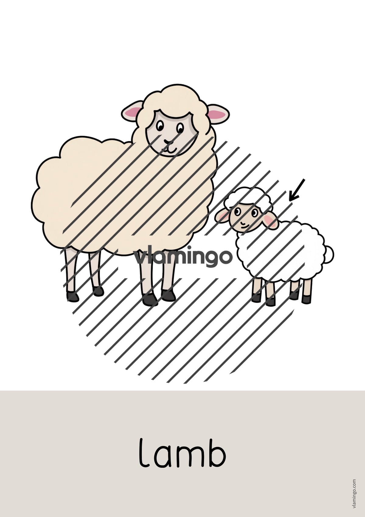 de englisch farm word and picture cards 053