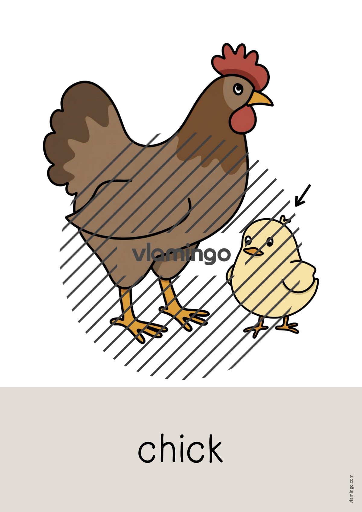 de englisch farm word and picture cards 055
