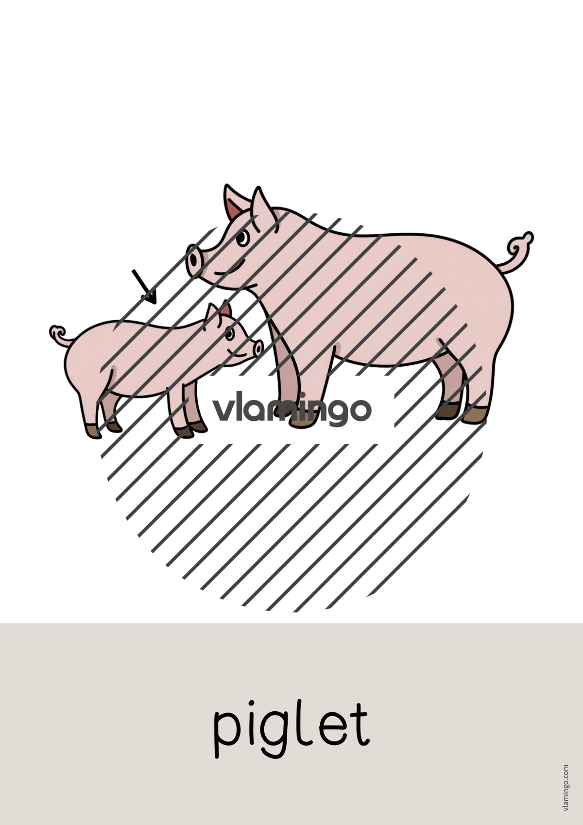 de englisch farm word and picture cards 058