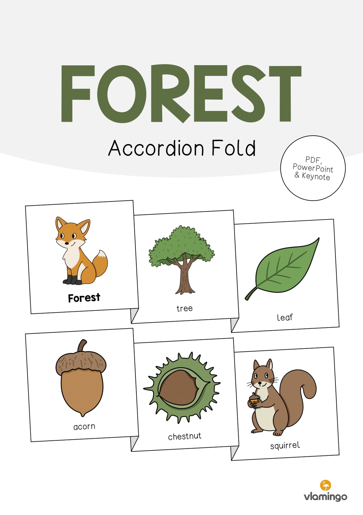 de englisch forest accordion fold 001
