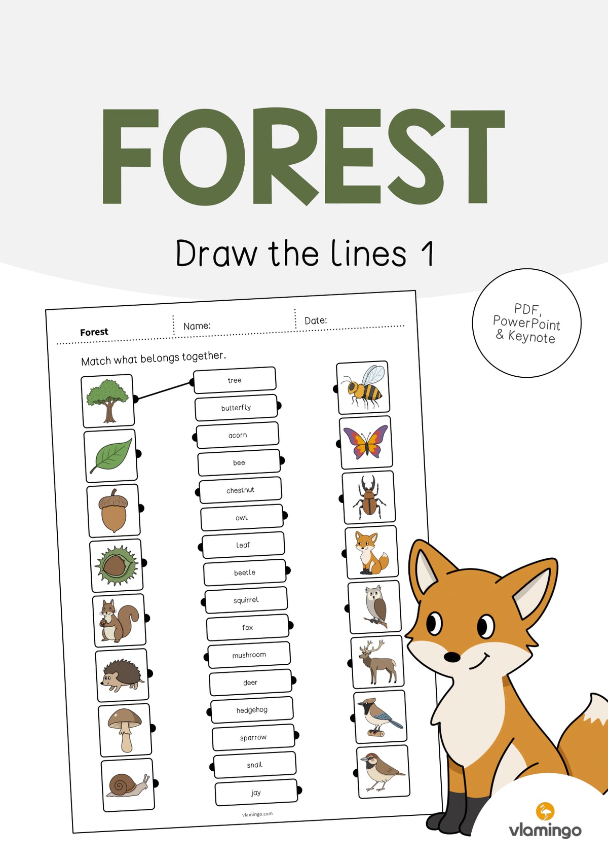 de englisch forest draw the lines 1 001