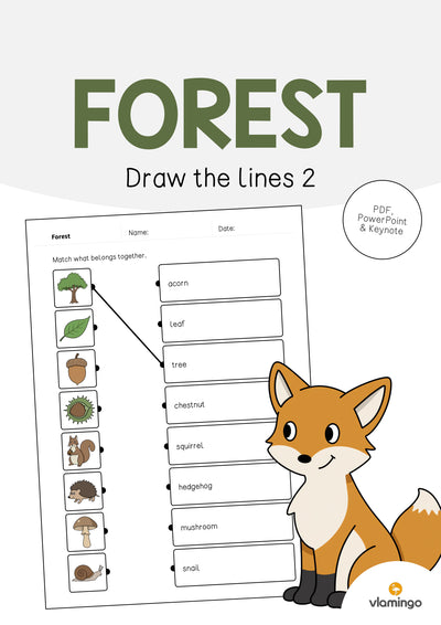 Forest / Wald: Draw the lines 2 (Englisch)