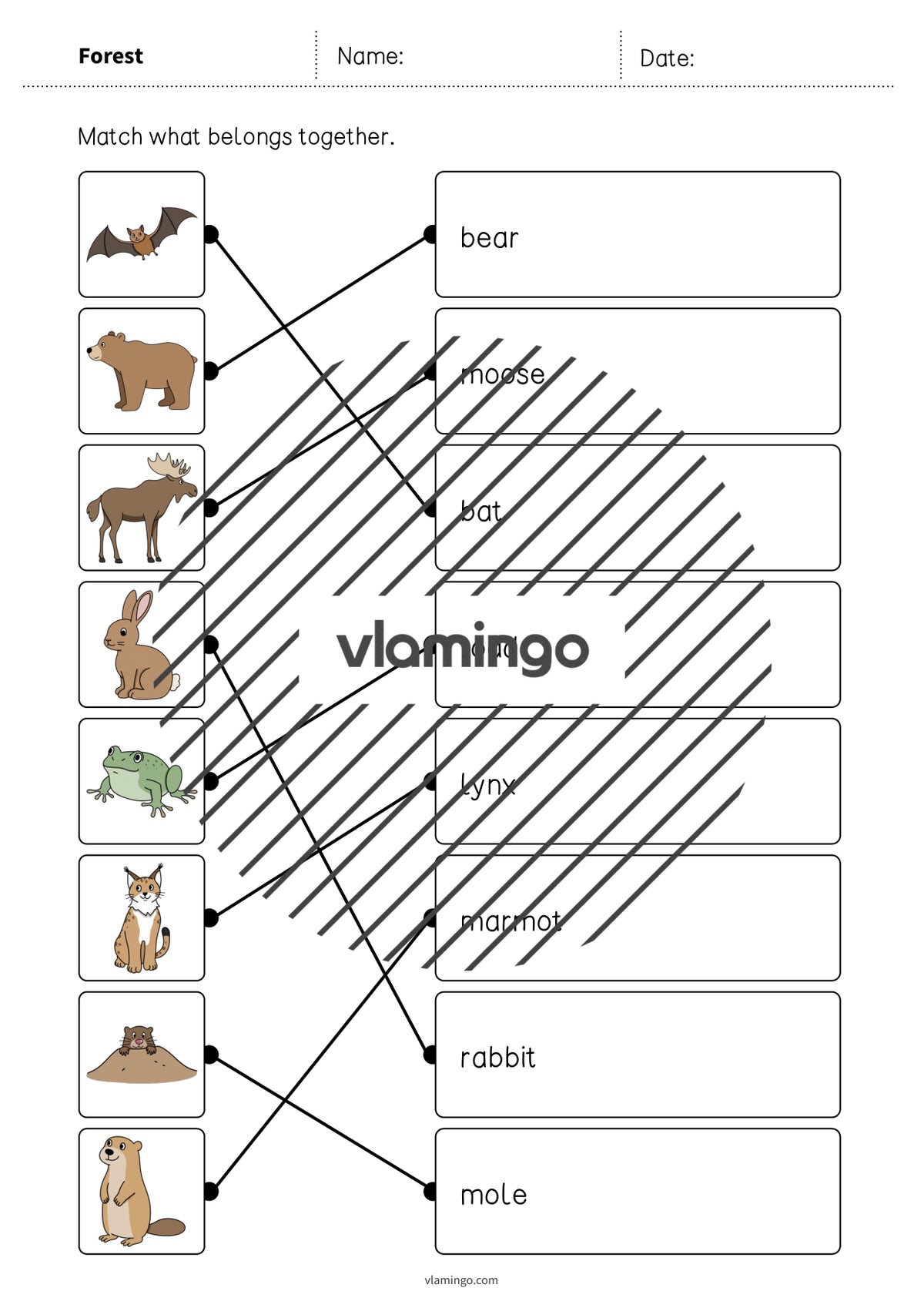 de englisch forest draw the lines 2 018