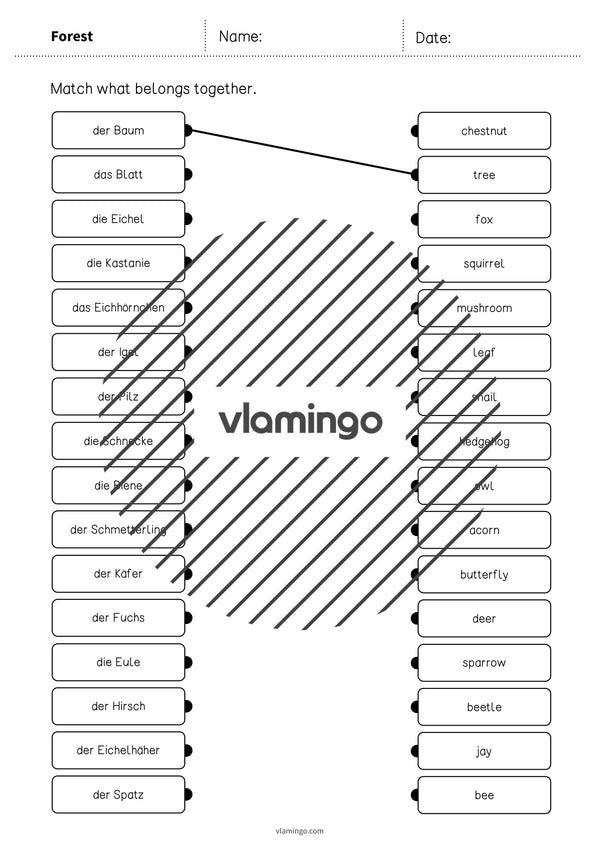de englisch forest draw the lines 3 003