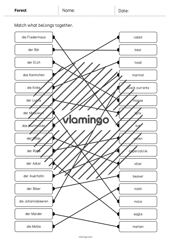 de englisch forest draw the lines 3 011