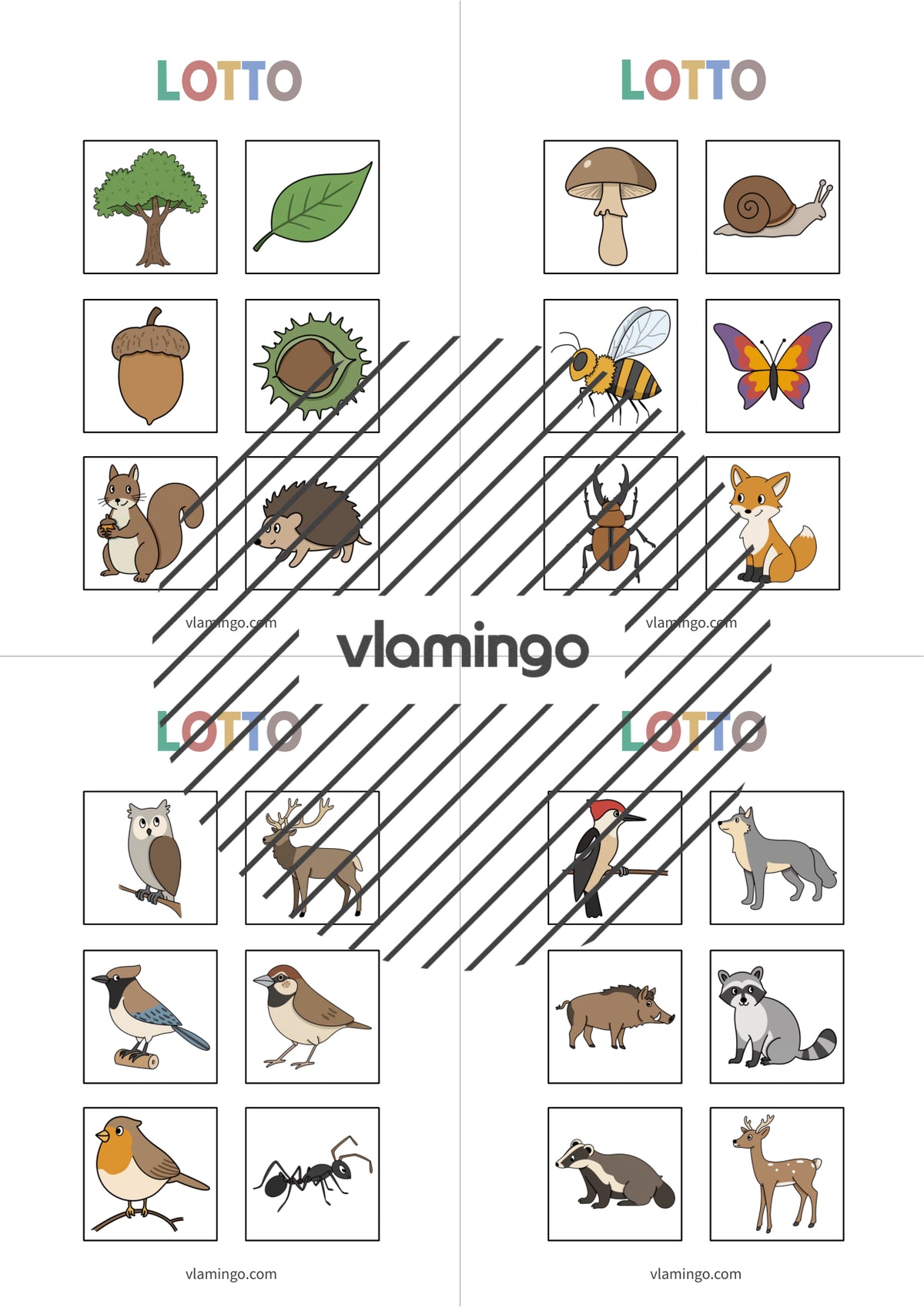 de englisch forest education lotto 004