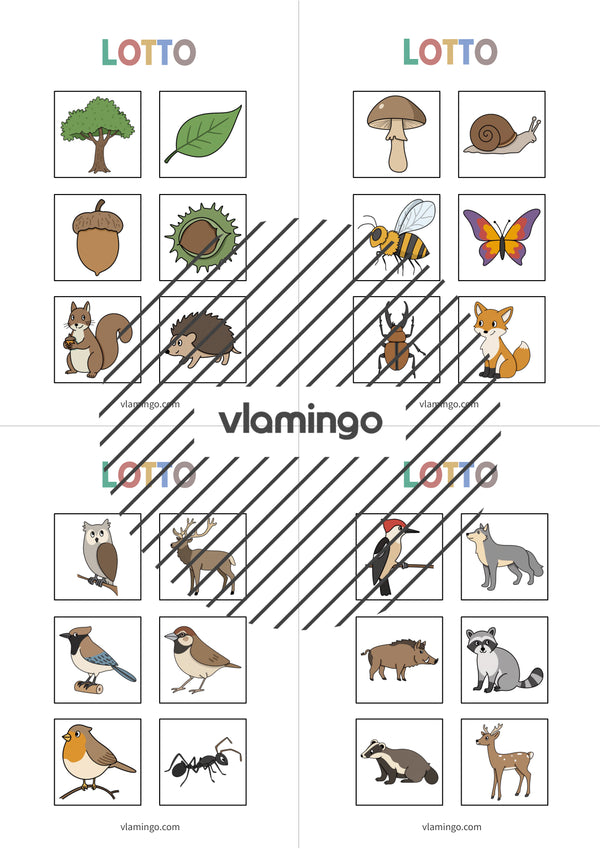 de englisch forest education lotto 004