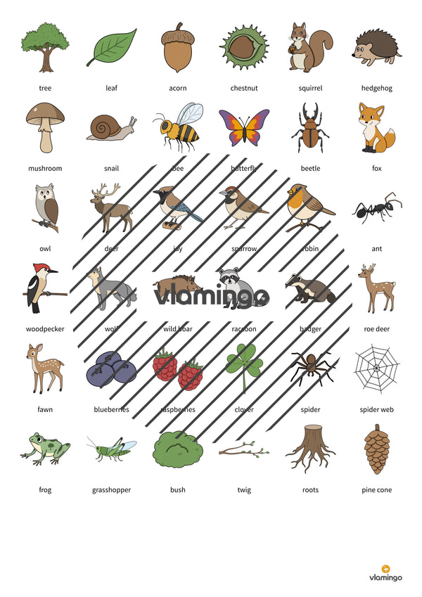 de englisch forest education lotto 006