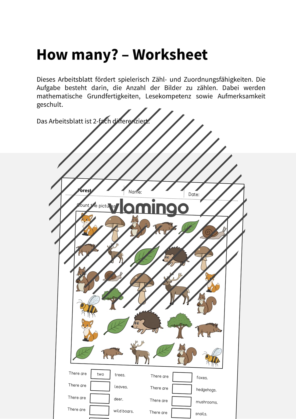 de englisch forest how many worksheet 002