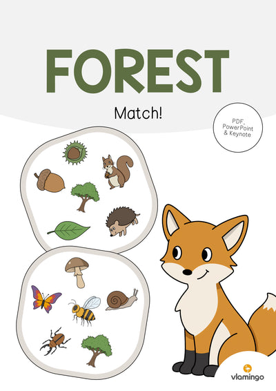 Forest / Wald: Match! (Englisch)