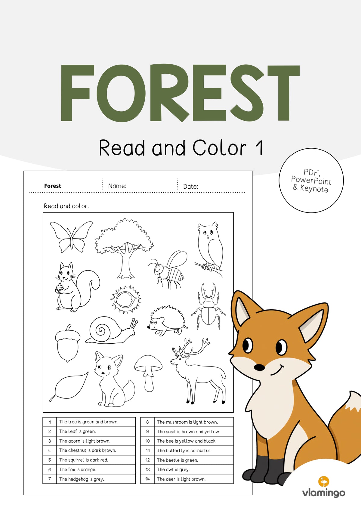 de englisch forest read and color 1 001