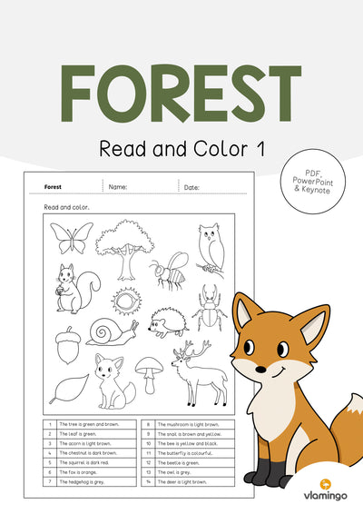 Forest / Wald: Read and Color 1 (Englisch)