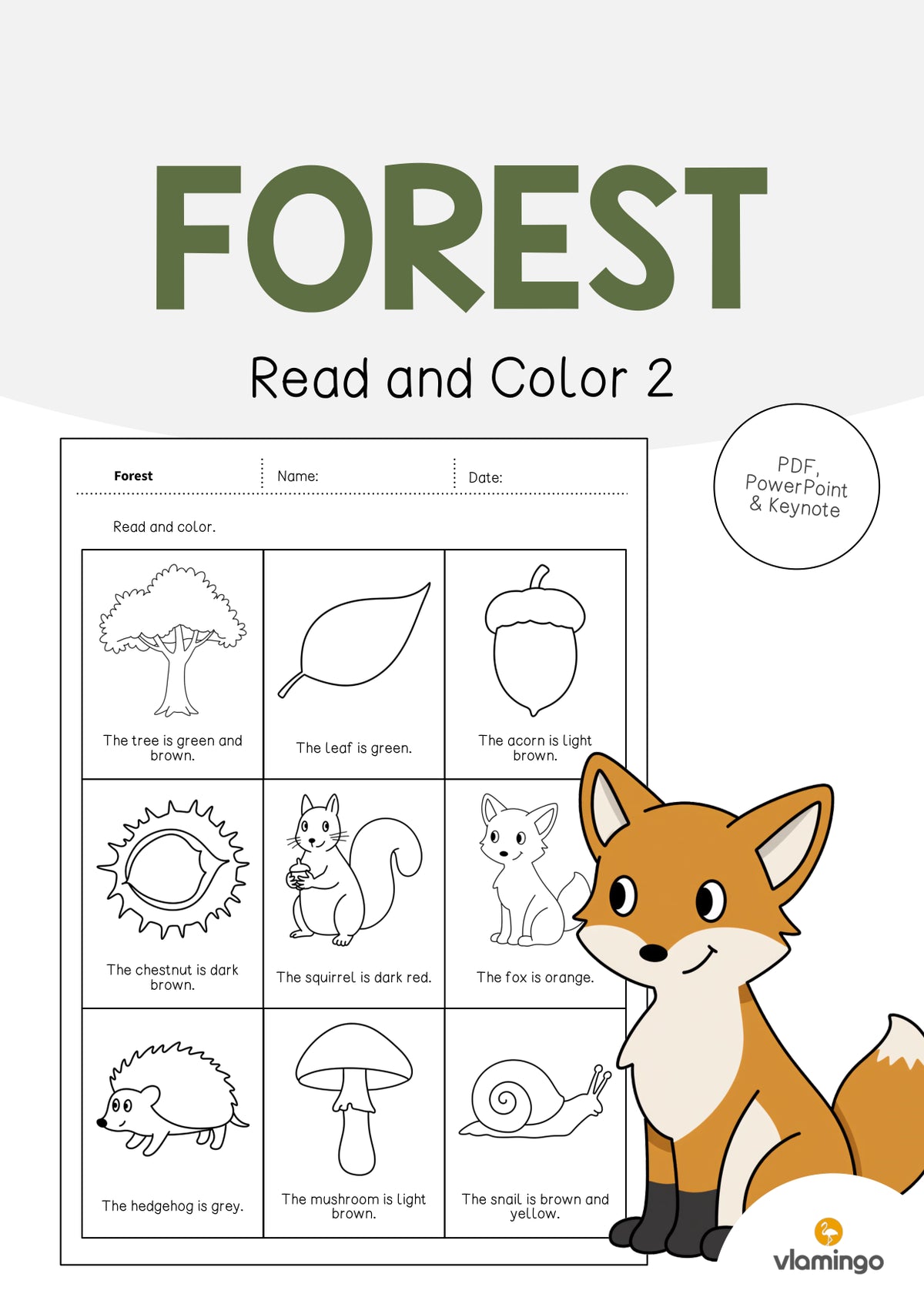 de englisch forest read and color 2 001